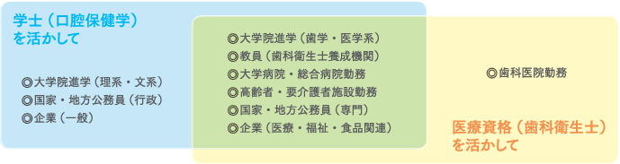 学士（口腔保健学）および歯科衛生士資格の取得後の主な進路を示した図。大学院進学、行政職、企業、教育機関、病院勤務、高齢者施設勤務など、複数の就職先の例がカテゴリ別にまとめられている。