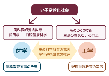 少子高齢化社会における歯学と工学の連携を示す図。上部中央に『少子高齢化社会』があり、左側に歯学で必要なこととして『歯科医師養成教育（歯周病、口腔健康科学）』『歯学（生命科学教育の充実、産学連携研究の推進）』『歯科教育方法の改革』が配置され、右側に工学で必要なこととして『ものづくり技術（生活の質QOLの向上）』『工学』『環境宣誓教育の実践』が配置され、両分野の連携を示した構造図歯学と工学の連携により生命科学教育の充実と産学連携研究の推進を図る。