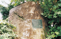 д�棺�ҥݥ���ƥ���ľ