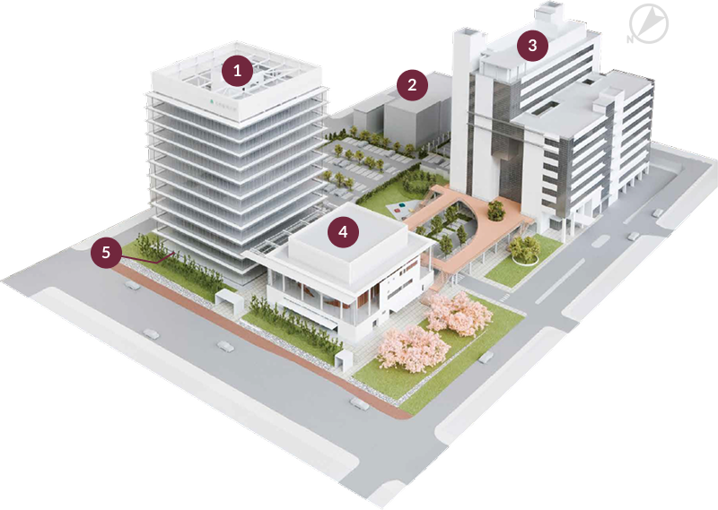 キャンパス模型図