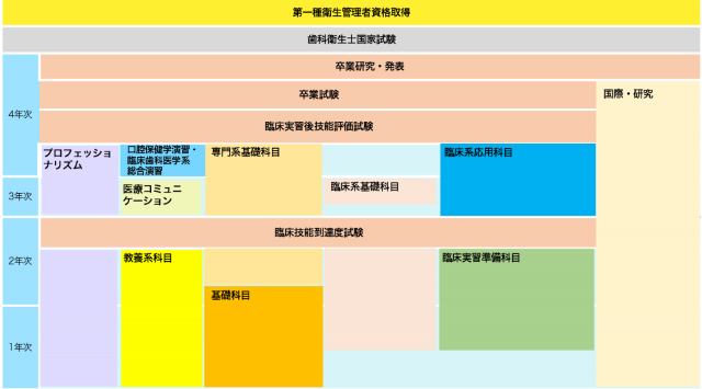 カリキュラムの概要
1年次〜4年次:国際・研究 プロフェッショナリズム
1年次から3年次:臨床計基礎科目
1年次から2年次:教養系科目 基礎科目 臨床実習準備科目
2年次から4年次:専門系基礎科目
2年次:臨床技能到達度試験
3年次から4年次:臨床系応用科目
3年次:医療コミュニケーション
4年次:口腔保健学演習・臨床歯科医学系総合演習 臨床実習後技能評価試験 卒業試験 卒業研究・発表
歯科衛生士国家試験
第一種衛生管理者資格取得