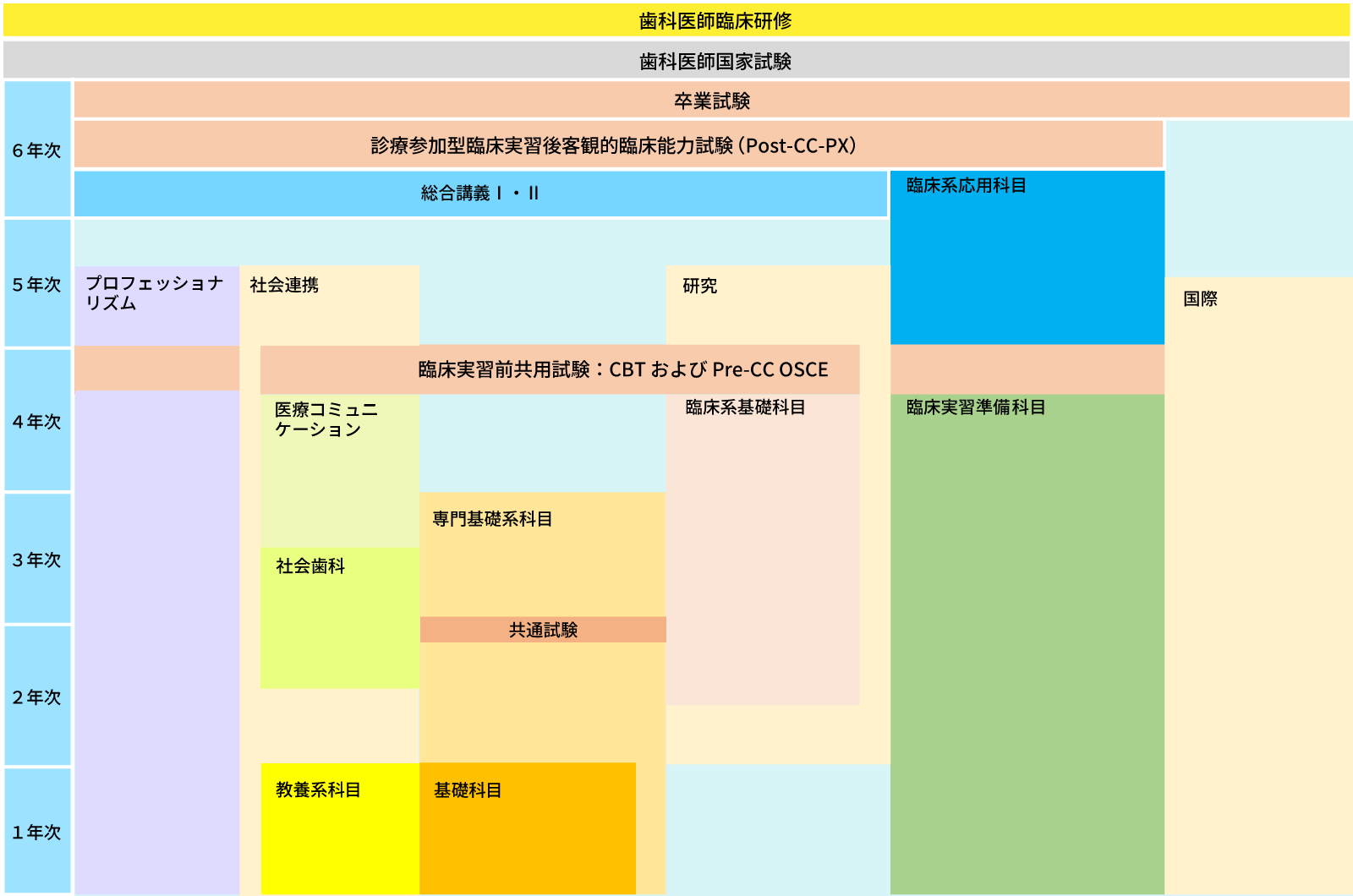 歯学部1年次から6年次までの教育内容と共用試験・国家試験の流れを示したカリキュラム概要図
