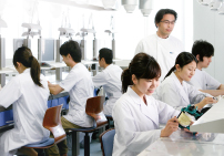 写真:授業の様子