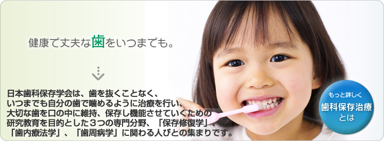 バナー：健康で丈夫な歯をいつまでも。日本歯科保存学会は、歯を抜くことなく、いつまでも自分の歯で噛めるように治療を行い、大切な歯を口の中に維持、保存し機能させていくための研究教育を目的とした3つの専門分野、「保存修復学」、「歯内療法学」、「歯周病学」に関わる人々の集まりです。
