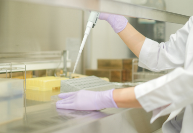 写真:研究の様子